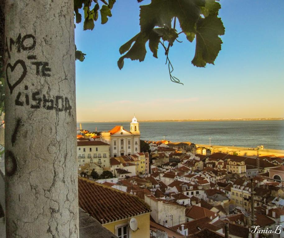 Live Alfama Apartment ลิสบอน ห้อง รูปภาพ